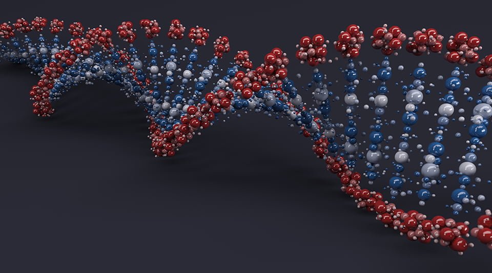 Nucleic Acid Extraction Performance